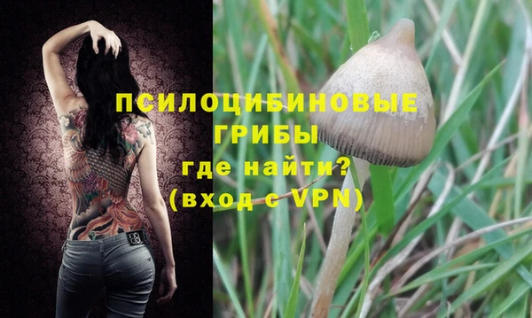 дживик Навашино