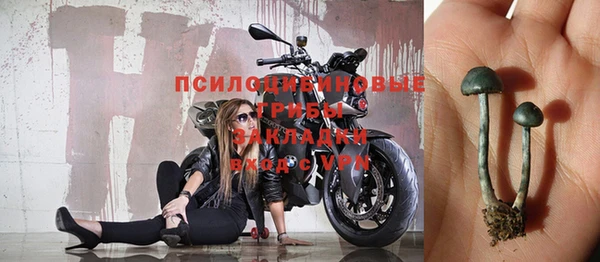 амф Надым